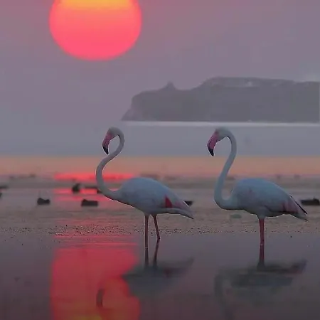 Pensjonat Sardinia *